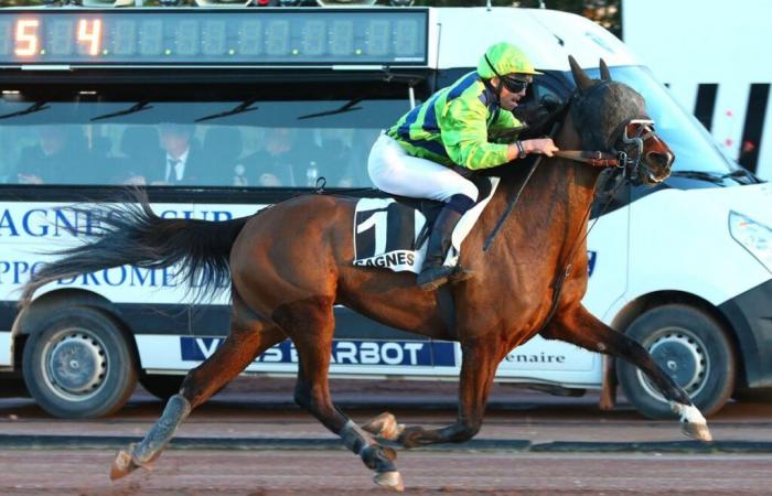 09.01.2025 in Cagnes: Java d’Ecajeul als Chef