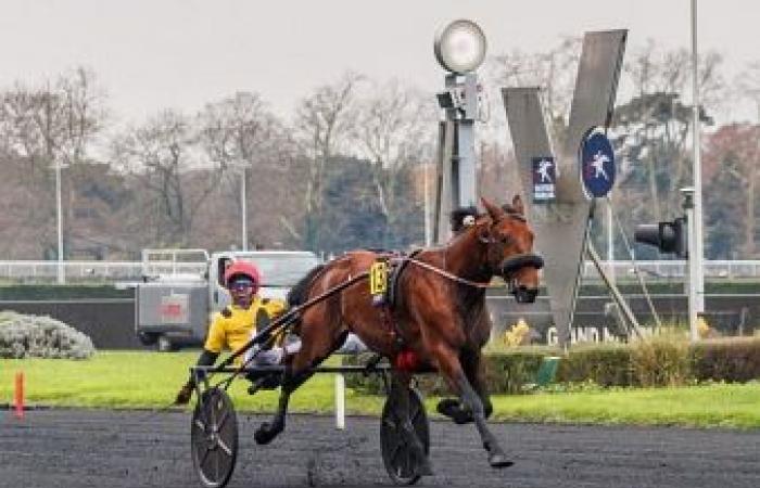 Belgien-Prix – Amerika-Rennen Q6: It’s A Dollarmaker hat eine goldene Gelegenheit – Trot