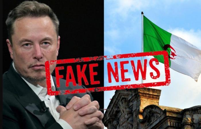 Elon Musk verbreitet falsche Informationen über Algerier in Europa