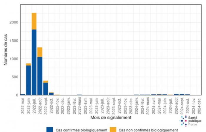 Mpox: Ein erster Fall im Zusammenhang mit der in Frankreich identifizierten neuen Variante