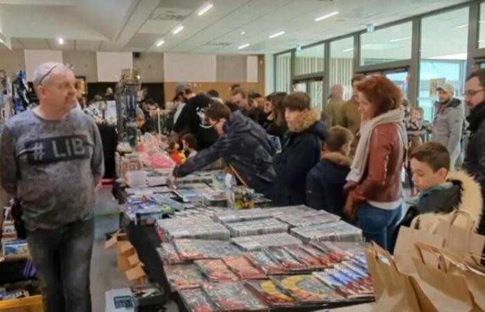 In der Loire-Atlantique erwartet diese Geek-Messe Tausende von Menschen für ihre Rückkehr