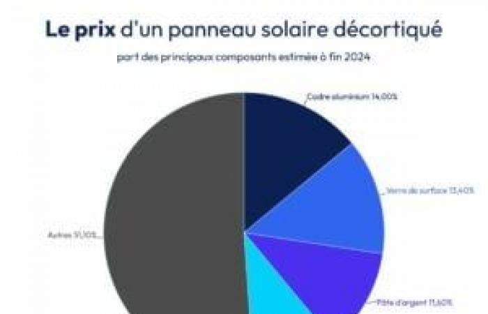 Welches Element kostet in einem Solarpanel am meisten?