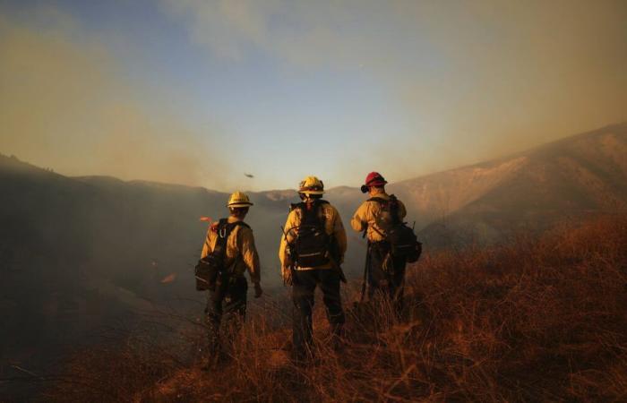 „freiwillige“ Gefangene, Privatagenten, … wer sind die Feuerwehrleute, die versuchen, die Brände zu löschen?