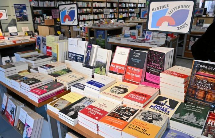 Slimani, Lemaire, Beigbeder, Springora, Grangé, Ferey: 500 Romane mit literarischer „kleiner Rendite“ erwartet