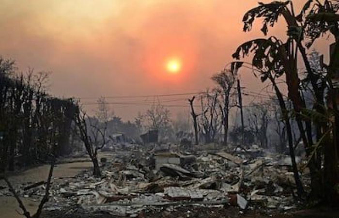 Die Feuer von Los Angeles in Chiffres