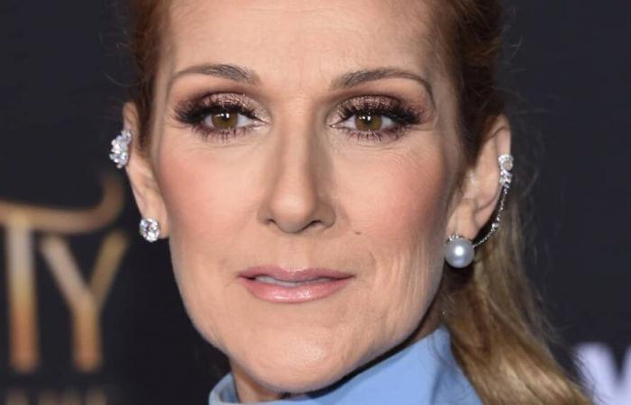 Brände in Los Angeles: Céline Dion mobilisiert für die Opfer