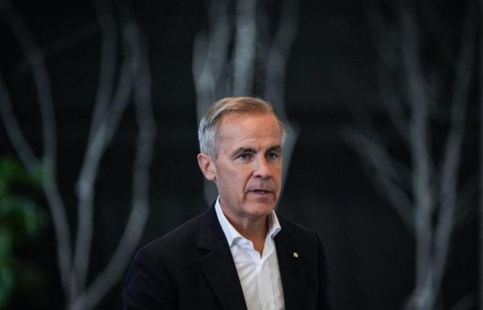 Mark Carney plant, nächste Woche für die Führung der Liberalen zu kandidieren