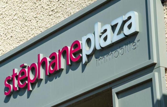 Prozess gegen Stéphane Plaza: Rund zehn Franchise-Unternehmen verlassen das Netzwerk der Immobilienmakler