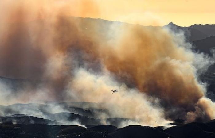 Brände in Los Angeles: 10 Tote und Tausende Häuser niedergebrannt