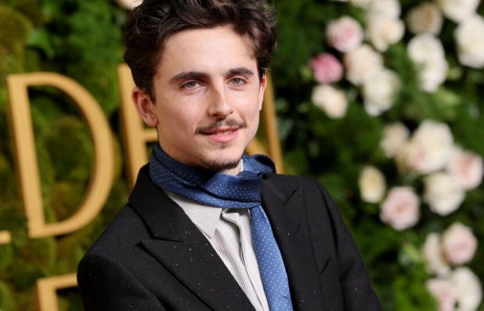 Timothée Chalamet wird sowohl Moderator als auch musikalischer Gast bei „SNL“ sein