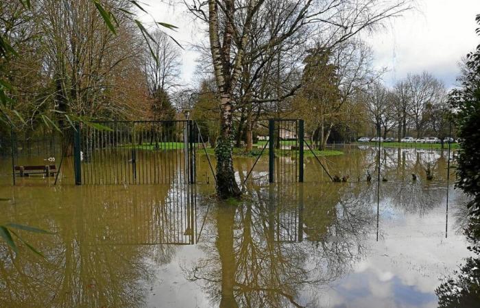 „Wir werden am Ende des Tages unsere Füße im Wasser haben“: In der Nähe von Rennes wurde diese psychiatrische Klinik evakuiert [Vidéo]