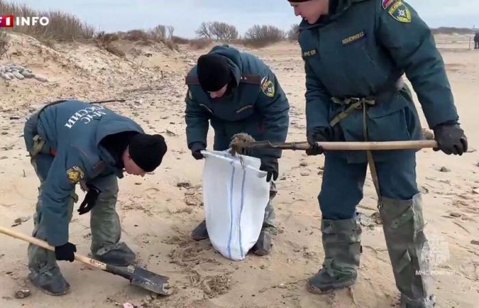 Russland: Ölpest verschlimmert sich, nachdem in einem der gestrandeten Tanker ein neues Leck entdeckt wurde