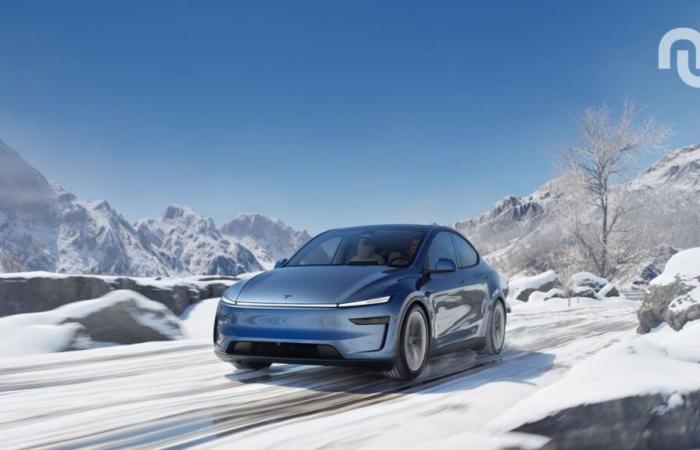 Sollten wir auf das neue Tesla Model Y 2025 hereinfallen?