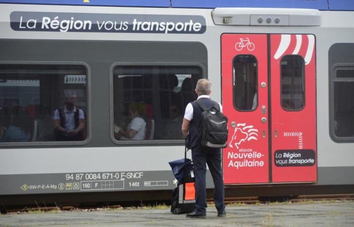 Für die TER ist die Öffnung der Züge für den Wettbewerb derzeit für die SNCF erfolgreicher als für den privaten Sektor