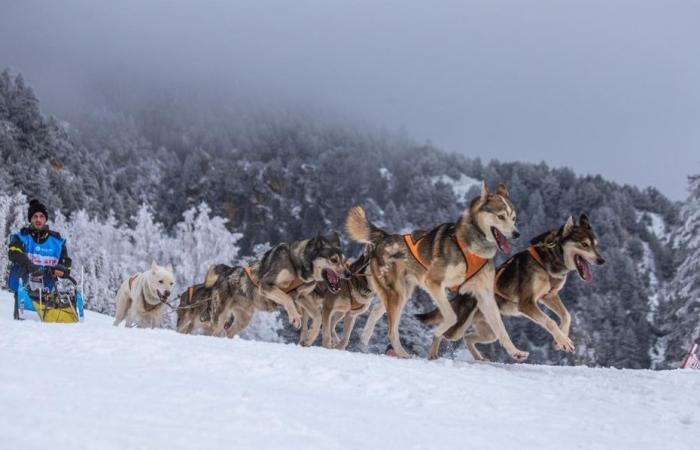 KARTE. Programm, Route, Termine … Wo und wann kann man La Grande Odyssée 2025, das symbolträchtige Schlittenhunderennen, sehen?