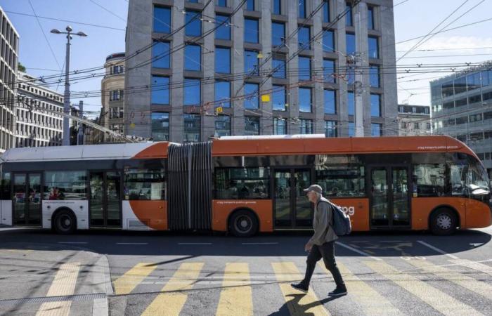 Seit dem 1. Januar wurden bei TPG mehr als 25.000 kostenlose Abonnements für unter 25-Jährige beantragt