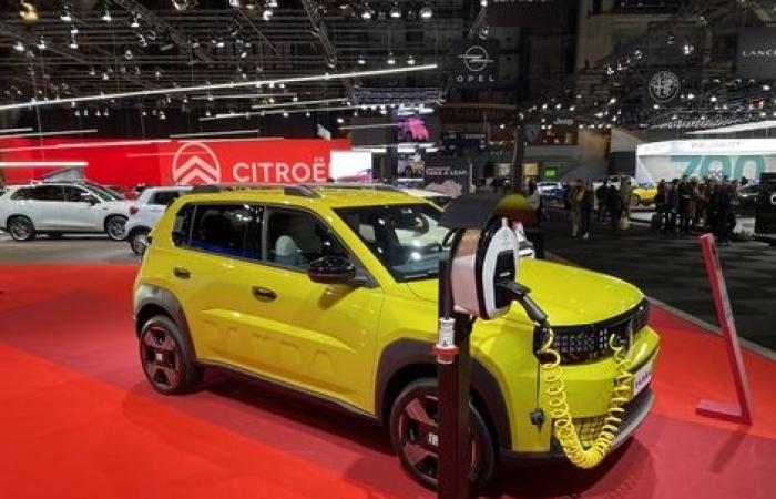 Der Fiat Grande Panda ist ein Star auf dem Brüsseler Autosalon