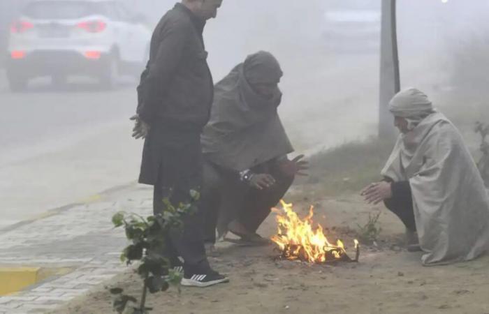 Die Kältewelle hält im Bundesstaat an, IMD sagt Regen aufgrund neuer Unruhen im Westen voraus – India TV