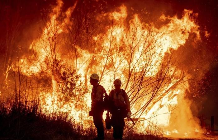 Bei Bränden in der Gegend von Los Angeles kamen mindestens zehn Menschen ums Leben