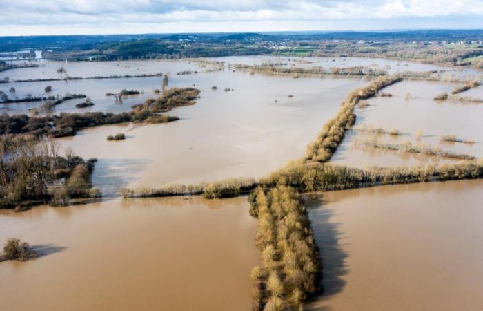 Heftige Regenfälle verursachten Überschwemmungen im Westen Frankreichs, wo mehrere Flüsse über die Ufer traten