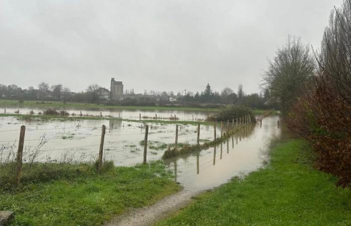 Überschwemmungen in La Guierche: etwa zwanzig Bewohner evakuiert, Vieh von Wasser umgeben