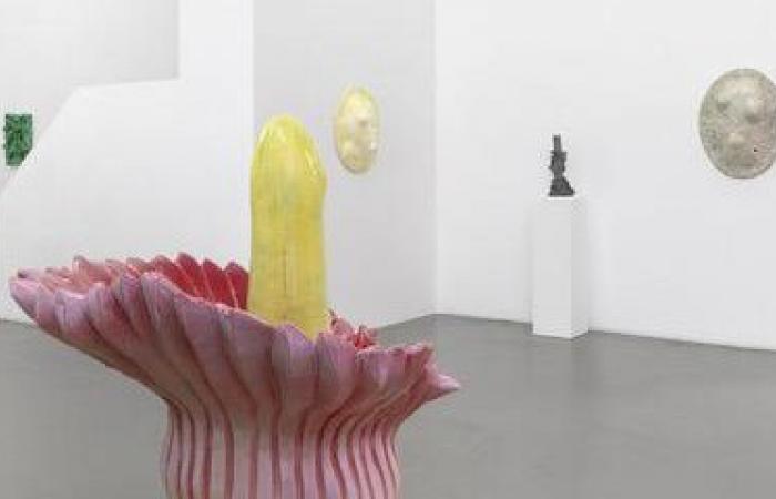 Genevoise Mai-Thu Perret stellt in der Mezzanin-Galerie aus