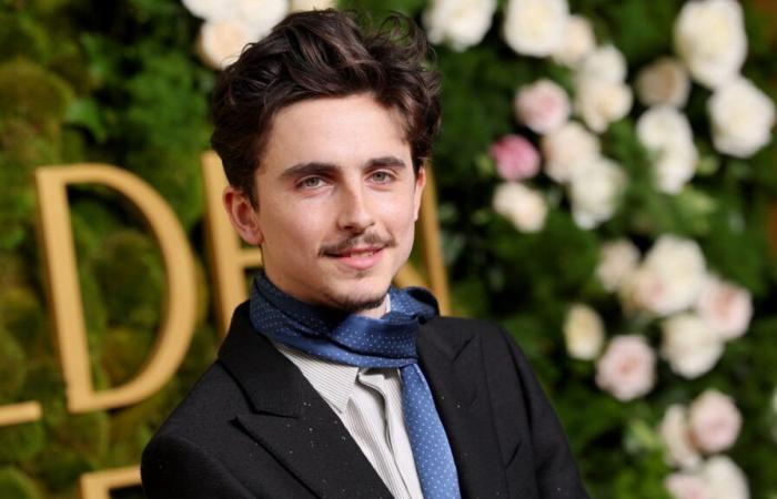 Timothée Chalamet ist Moderator und Musikgast bei Saturday Night Live