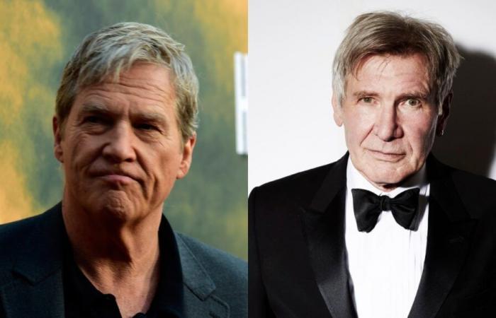 Harrison Ford, Jeff Bridges und Jamie Lee Curtis schließen sich Prominenten an, die von den Waldbränden in Los Angeles im Süden Kaliforniens betroffen sind