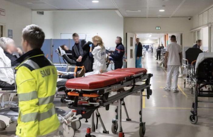 Der weiße Plan wurde in 87 Krankenhäusern in Frankreich eingeführt