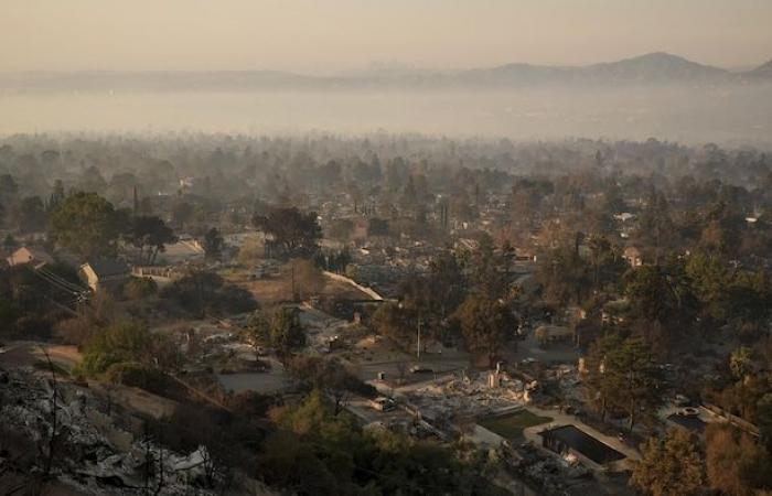 Hier ist, was die verheerenden Winterbrände in Los Angeles angeheizt hat