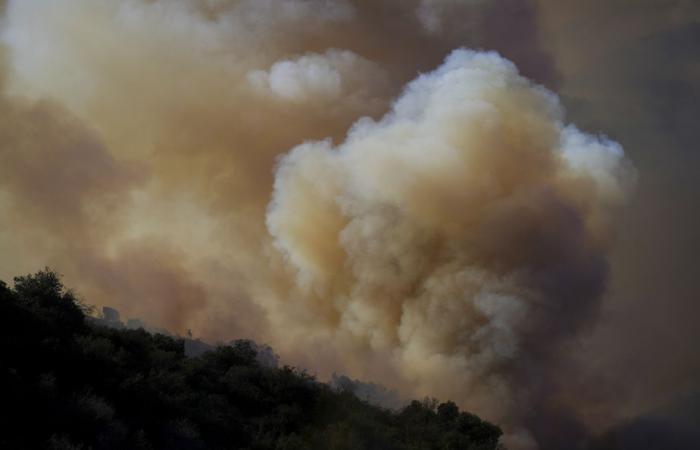 Brände in Los Angeles | Der Wind beruhigt sich, die Kritik mehrt sich