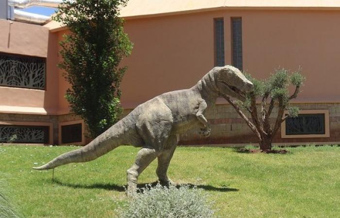 Bald entsteht ein Vergnügungspark rund um das Thema Dinosaurier