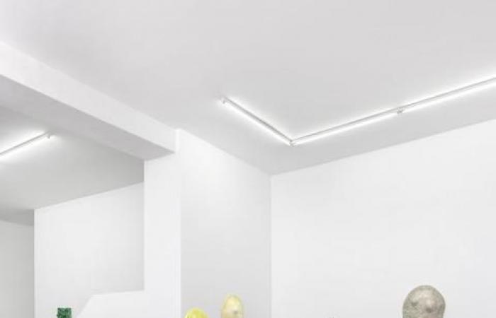 Genevoise Mai-Thu Perret stellt in der Mezzanin-Galerie aus