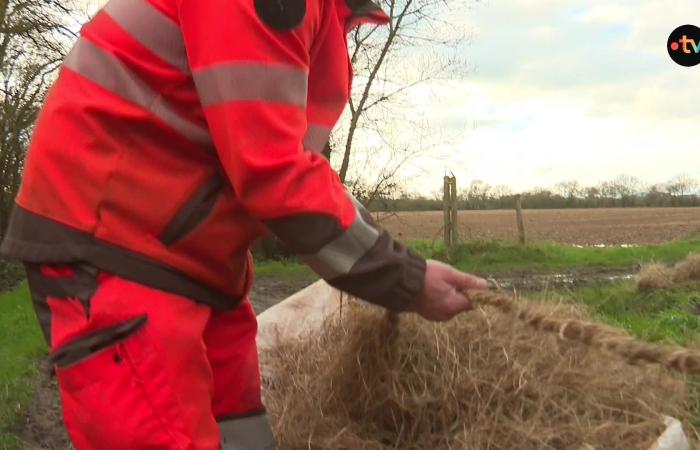 Die Loire steigt, die SNCF schließt die Schleusen, um die Sicherheit der Anwohner zu gewährleisten