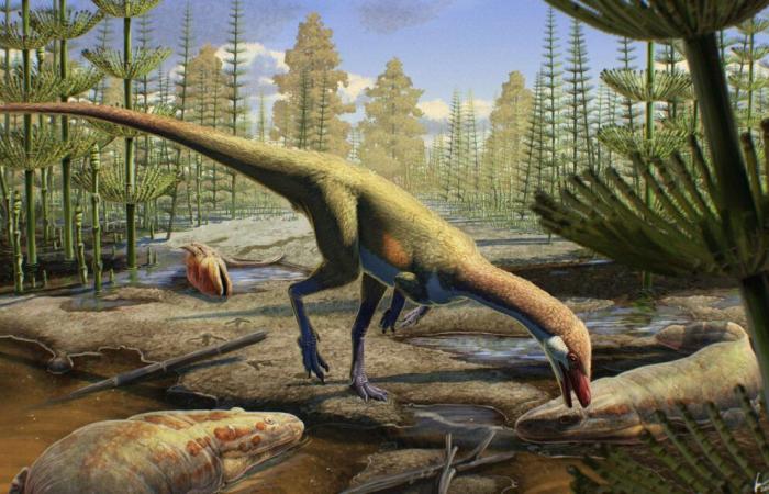 Forscher haben in Amerika eine Entdeckung gemacht, die die Geschichte der Dinosaurier neu schreiben könnte