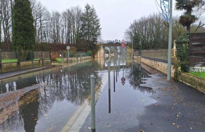 Umgeben von Wasser macht er sich auf den Weg, um seinen Vater zu retten