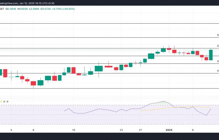 Diese Altcoins sprechen für sich!