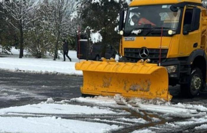 Streusalz-Update des Wrexham Council inmitten von Schnee und Eis