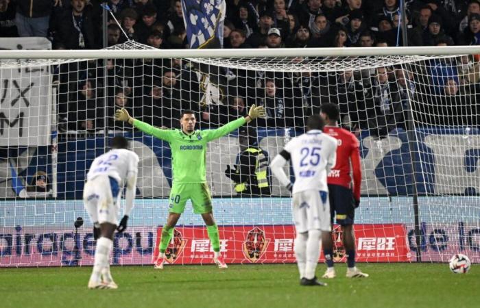 De Percin und Auxerre verabscheuen die Bewohner von Lille – Ligue 1 – J17 – Auxerre-Lille (0-0)