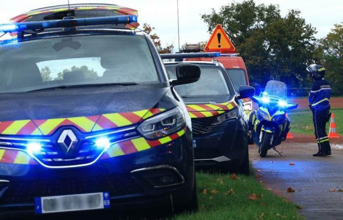 Polizei verhaftet Fahrer mit mehr als 6.000 Flaschen hochprozentigem Alkohol in der Nähe von Briey