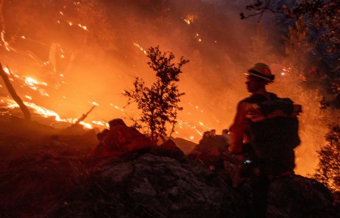 Los Angeles | Die Brände sind immer noch ungezähmt, die Zahl der Todesopfer steigt auf zehn