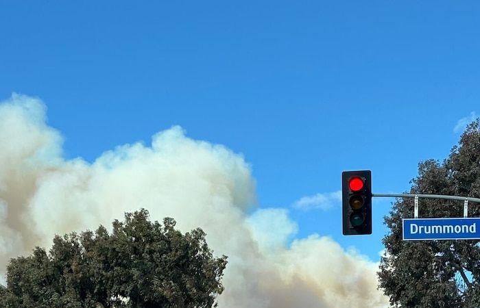 Brände in Los Angeles: „Alle Pacific Palisades waren verschwunden“, beklagt eine Kanadierin