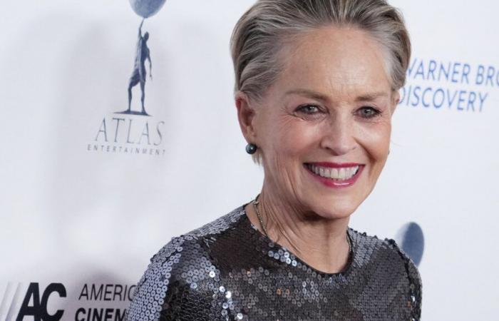 Sharon Stone: „Ich habe meinen Platz in der Hollywood-Warteschlange verloren“ (EXKLUSIV)