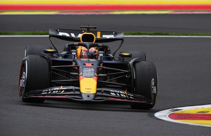 Formel 1 | Red Bull: Es war nicht unsere Absicht, ein F1-Auto speziell für Verstappen zu entwickeln