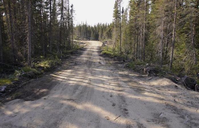 Der Betrieb im Sägewerk Outardes steht seit der Explosion im Oktober immer noch still