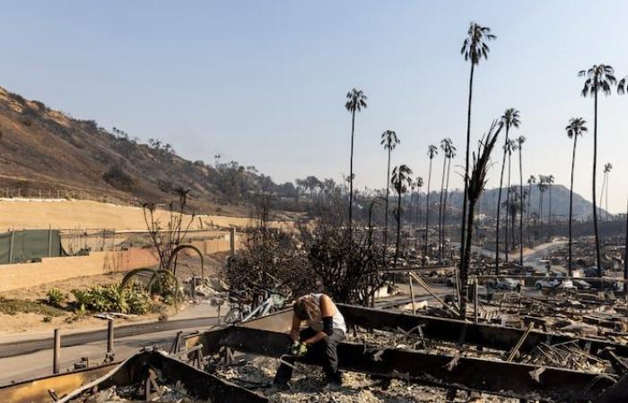 Brände in Los Angeles: Mindestens 10 Tote