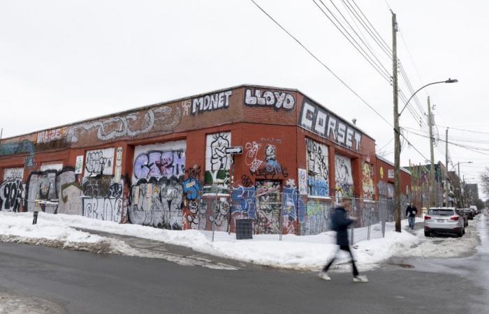 „Wurde zum Wilden Westen“ | Die Anzahl der Graffiti-Sprünge in Montreal