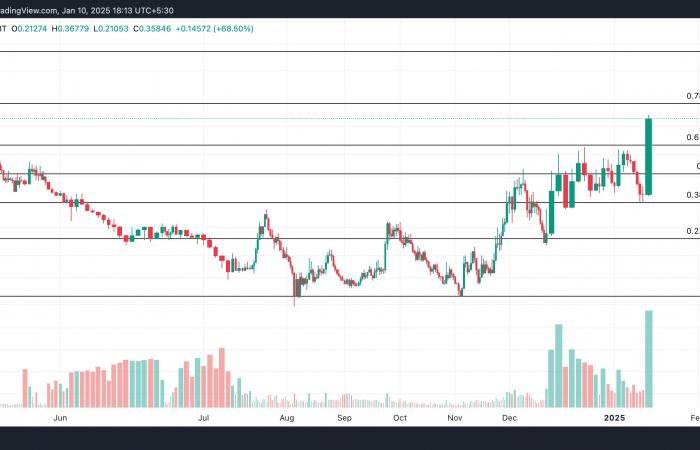 Diese Altcoins sprechen für sich!