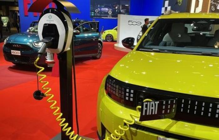 Der Fiat Grande Panda ist ein Star auf dem Brüsseler Autosalon