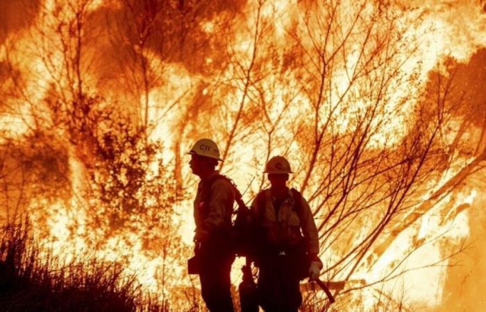 Die Zahl der Todesopfer steigt auf 10, da weiterhin Waldbrände in Los Angeles wüten